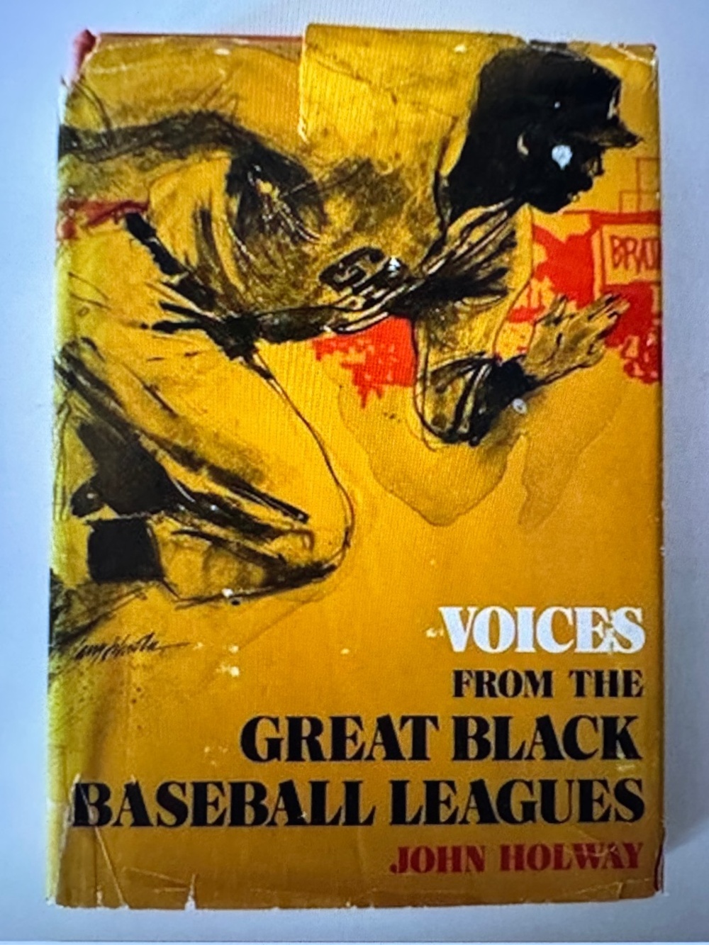 Voices From The Great Black Baseball Leagues
